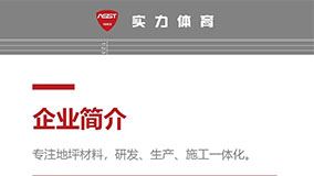 会员推介之——实力(广东)新材料有限公司